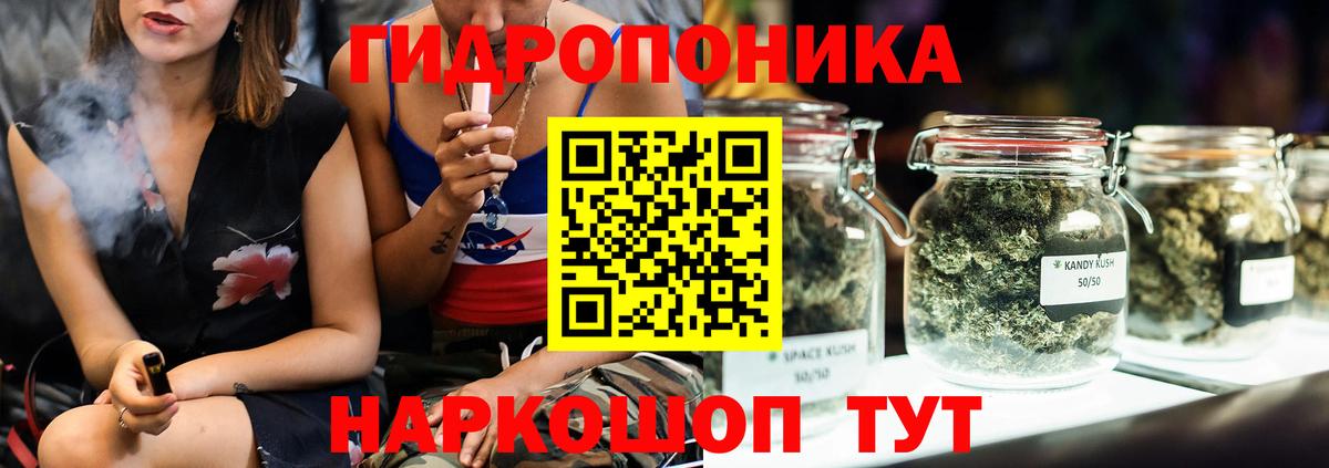 Бошки Шишки планчик Шахты